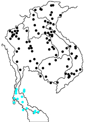 Ypthima baldus baldus map