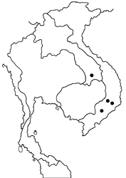 Ypthima philomela peguana map