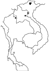 Ypthima atra atra map