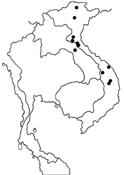 Ypthima tappana selinuntioides map