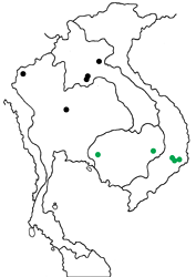 Ypthima norma burmana map