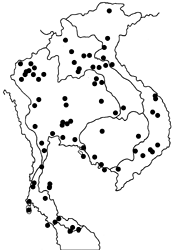 Ypthima huebneri map
