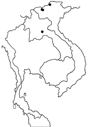 Callerebia suroia map