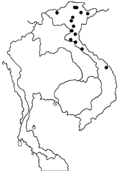 Stichophthalma fruhstorferi map