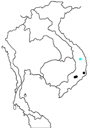 Stichophthalma uemurai uemurai map