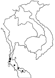Amathusia masina malaya map