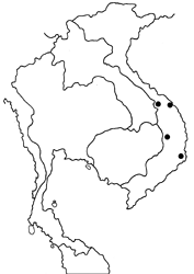 Zeuxidia sapphirus map