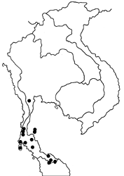 Zeuxidia amethystus amethystus map