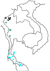 Thauria aliris pseudaliris map