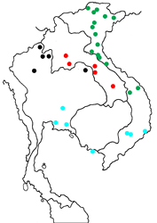 Thauria lathyi lathyi map