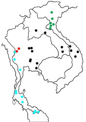Prothoe franck uniformis map