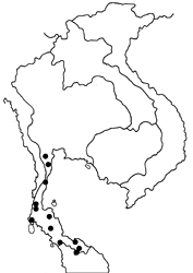 Polyura hebe chersonesus map