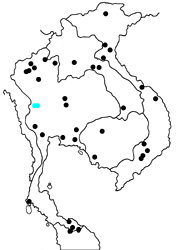Polyura jalysus jalysus map