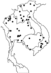 Polyura arja arja map
