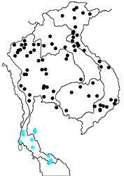 Charaxes bernardus hierax map