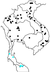 Libythea myrrha sanguinalis map