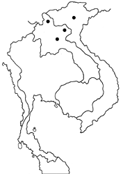 Chitoria cooperi map