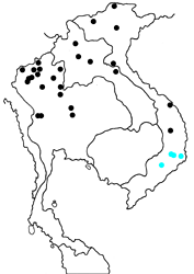 Sephisa chandra chandra map