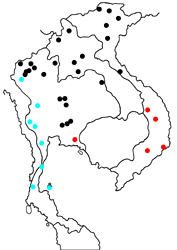 Herona marathus angustata map