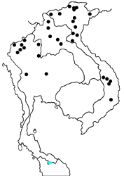 Hestinalis nama ruvanella map