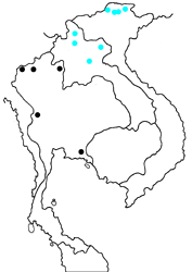 Hestina persimilis ssp. map