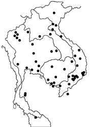 Acraea terpsicore map