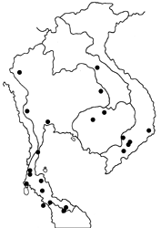 Cirrochroa surya siamensis map