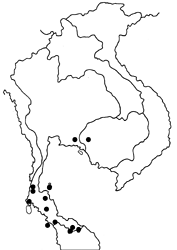 Cirrochroa emalea emalea map