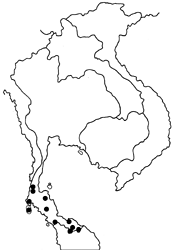 Cirrochroa orissa orissa map