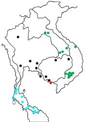 Terinos terpander myae map