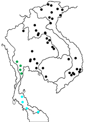 Terinos clarissa malayana map