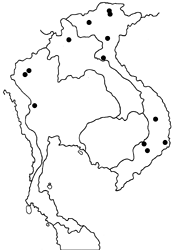 Neptis capnodes pandoces map