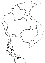 Cynitia cocytina puseda map