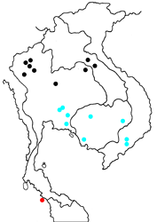 Euthalia djata osadai map