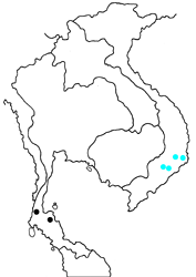 Euthalia whiteheadi whiteheadi map