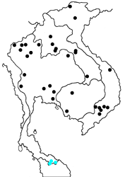Euthalia anosia anosia map