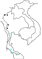Euthalia mahadeva binghamii map
