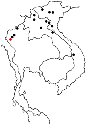 Euthalia nara shania map