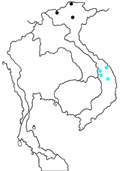 Euthalia bunzoi map