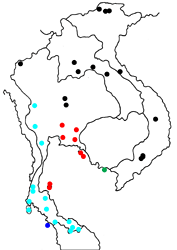 Euthalia teuta goodrichi map