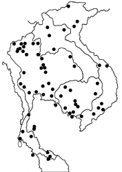 Hypolimnas bolina jacintha map