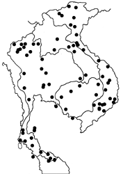 Junonia iphita iphita map