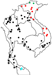 Zemeros flegyas albipunctatus map