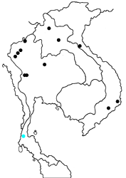 Dodona egeon confluens map