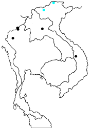 Dodona eugenes venox map