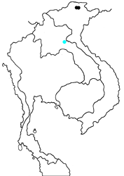 Dodona phuongi phuongi map