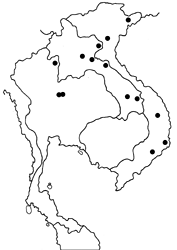 Abisara burnii timaeus map