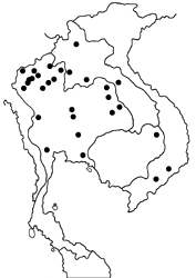 Abisara bifasciata map