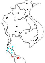 Abisara saturata maya map