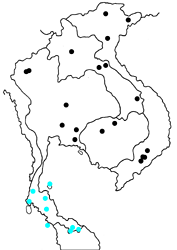 Abisara saturata maya map